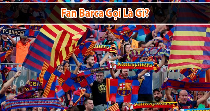 Fan Barca Gọi Là Gì? Tìm Hiểu Về Tên Gọi Cules Của CĐV Barca