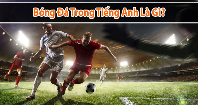 Bóng Đá tiếng anh là gì? Từ vựng liên quan và các ví dụ tham khảo