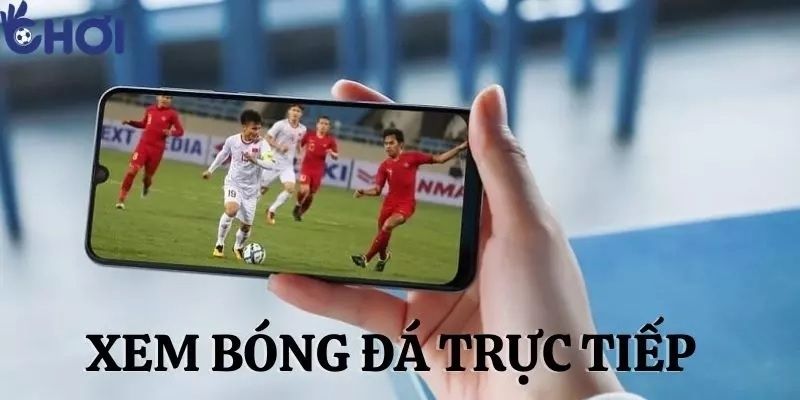 Okchoi - Trang bóng được yêu thích và uy tín hiện nay