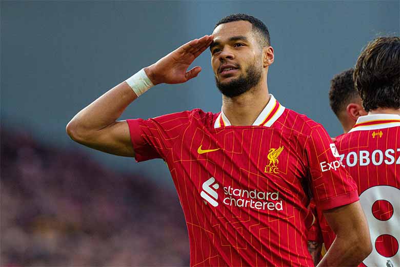 Tiểu sử Cody Gakpo: Từ tài năng PSV đến trụ cột Liverpool
