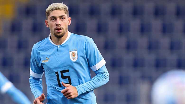 Tiểu sử Federico Valverde: Từ cậu bé Uruguay đến trụ cột Real Madrid