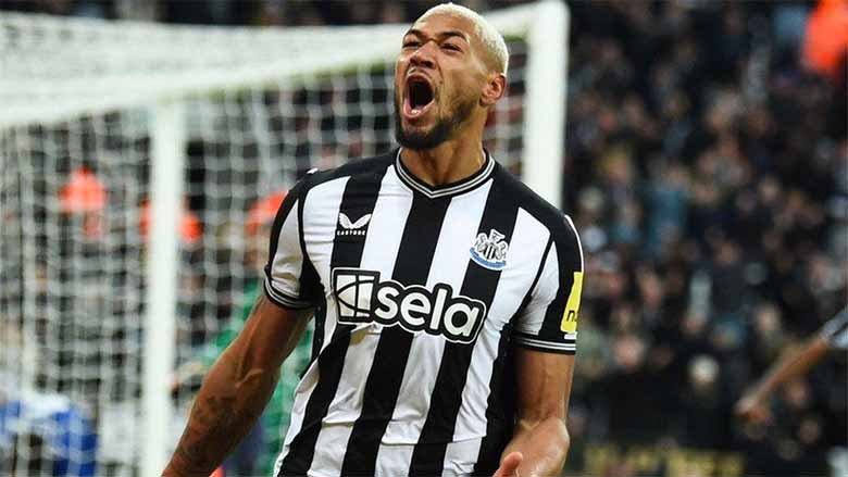 Tiểu sử Joelinton: Từ cậu bé nghèo đến trụ cột Newcastle United
