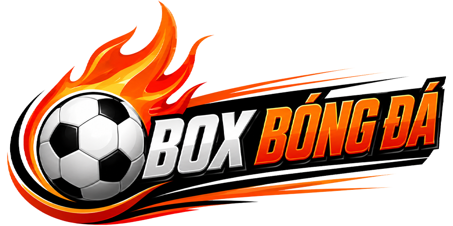 Box Bóng Đá